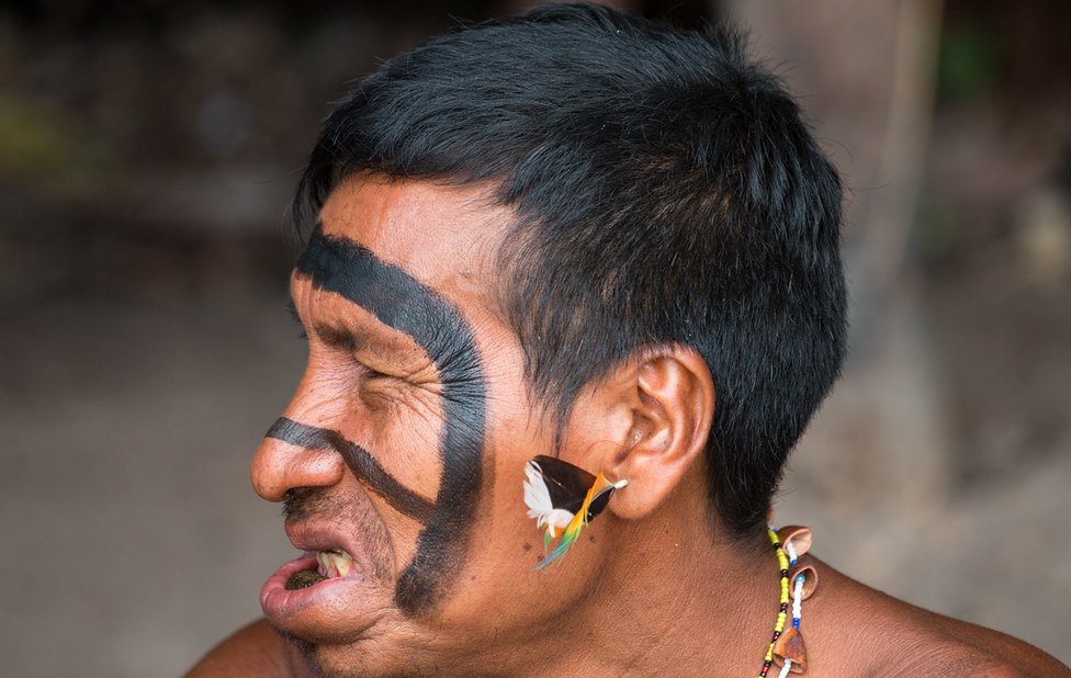 Profile Photo of Yanomami man with traditional face decoration
