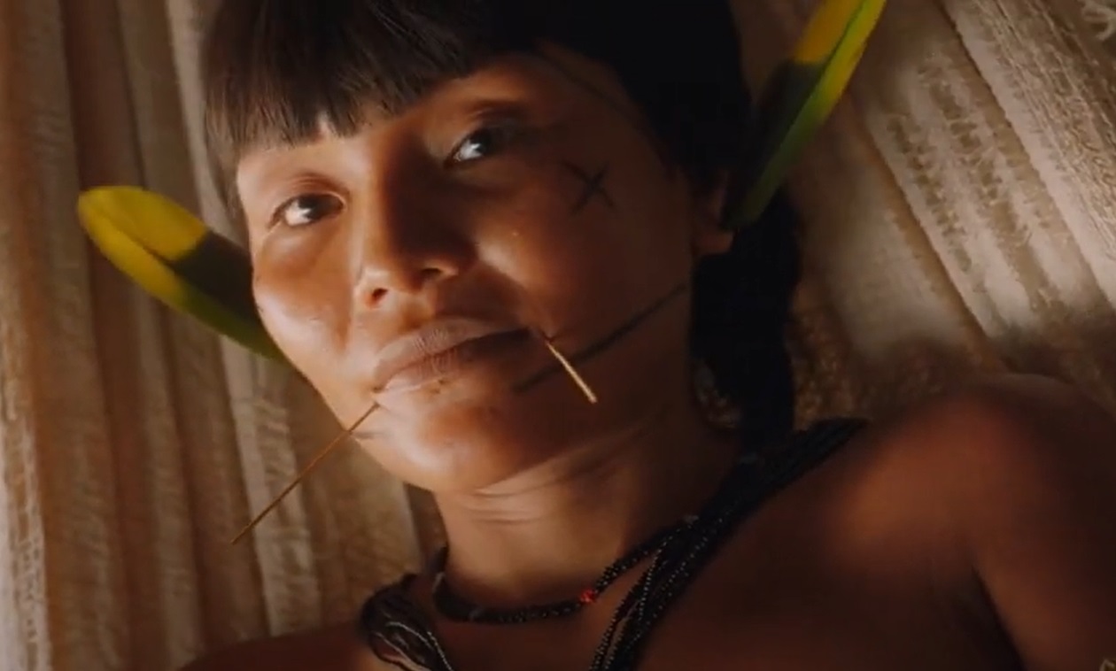 Portrait Photo of Yanomami woman with traditional face paint
