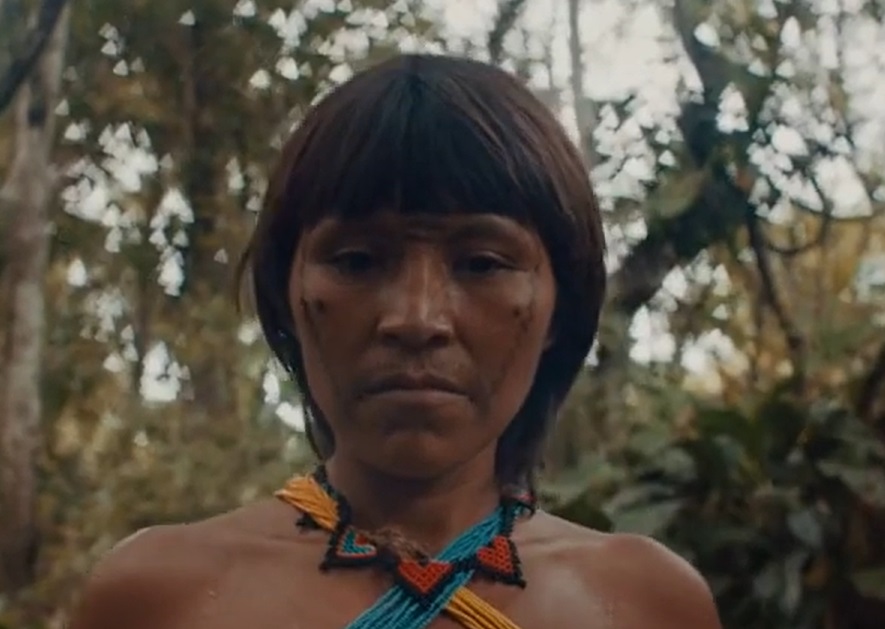 Portrait Photo of Yanomami woman with traditional face paint