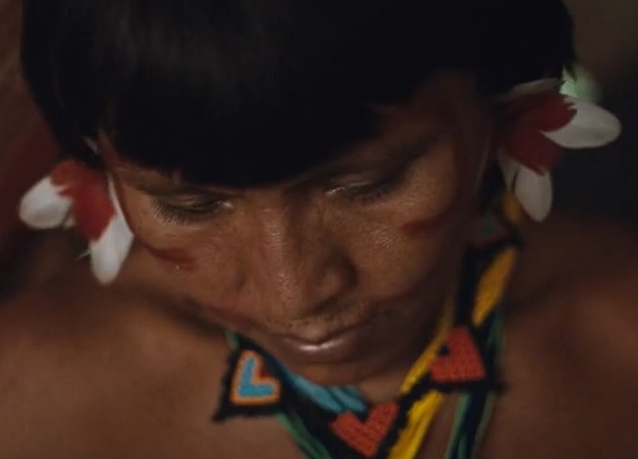 Portrait Photo of Yanomami woman in a traditional clothing