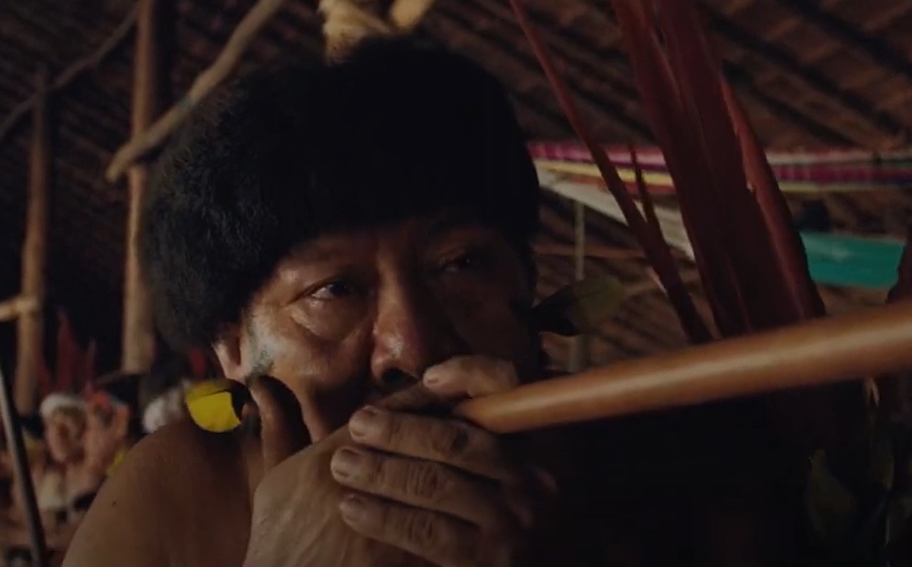Portrait Photo of Yanomami man blowing a long wooden pipe