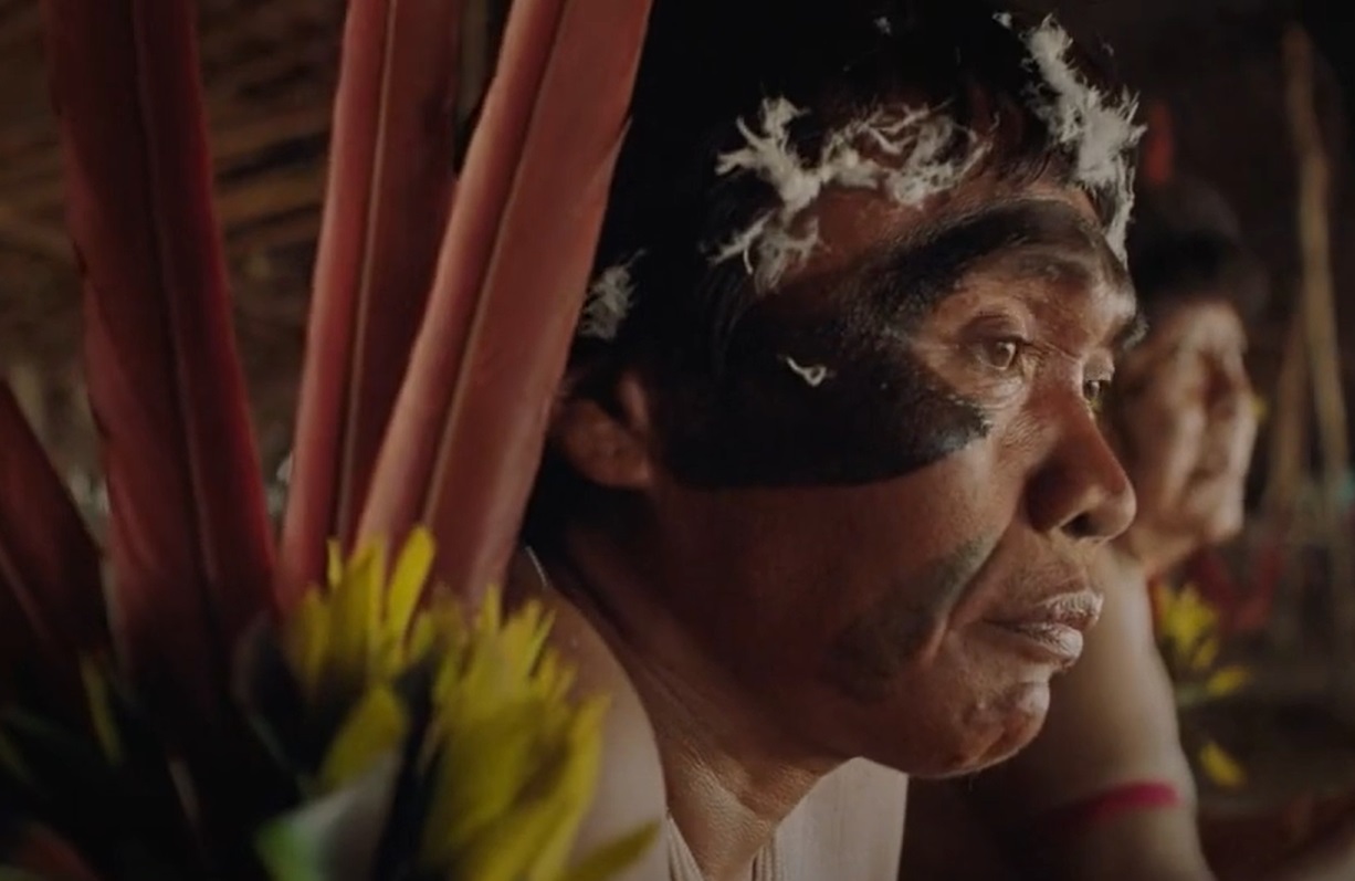 Profile photo of Yanomami man with traditional face paint and head decoration