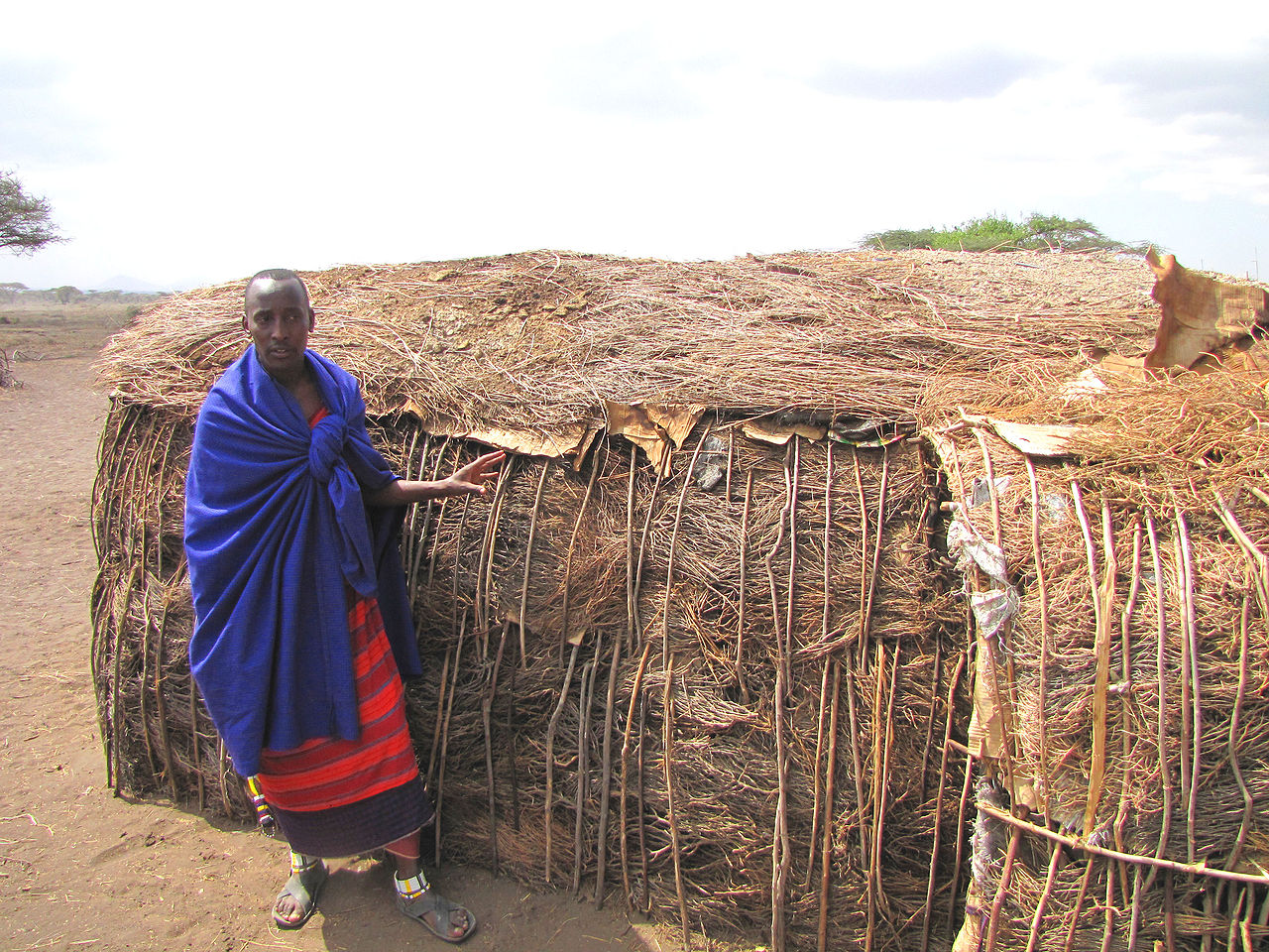 Maasai Shelter