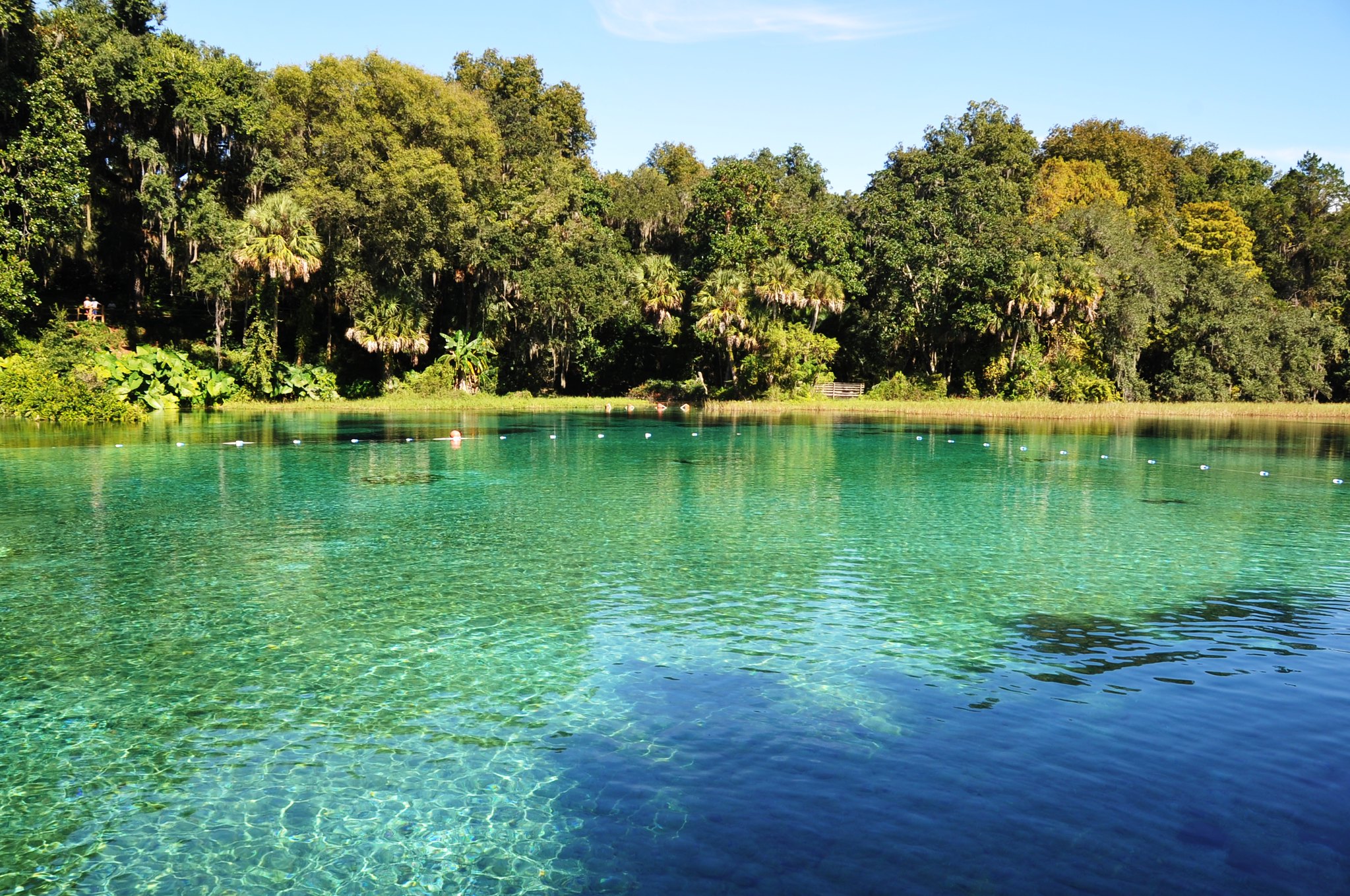 The Rainbow River, Florida