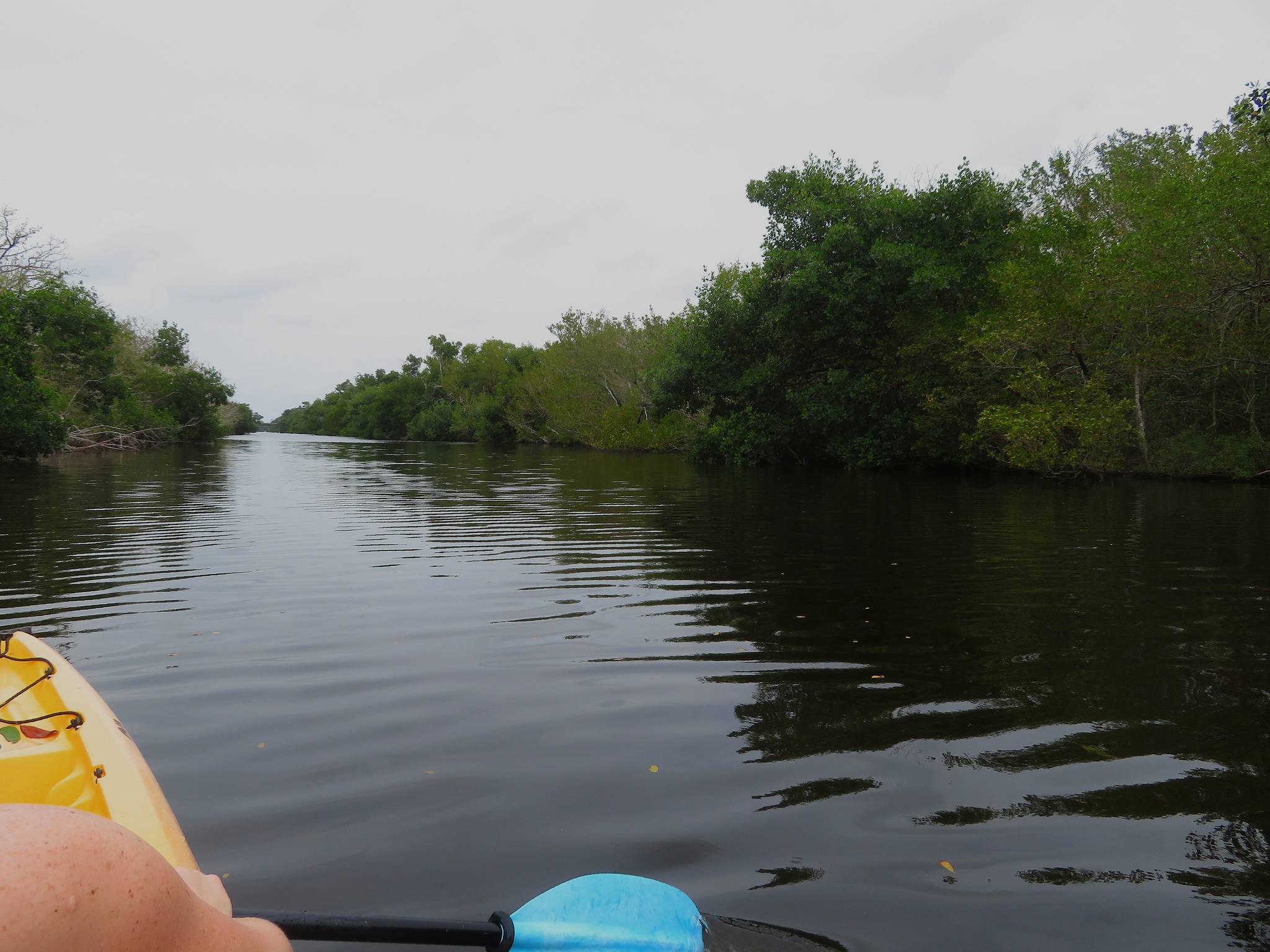 Everglades National Park, Florida