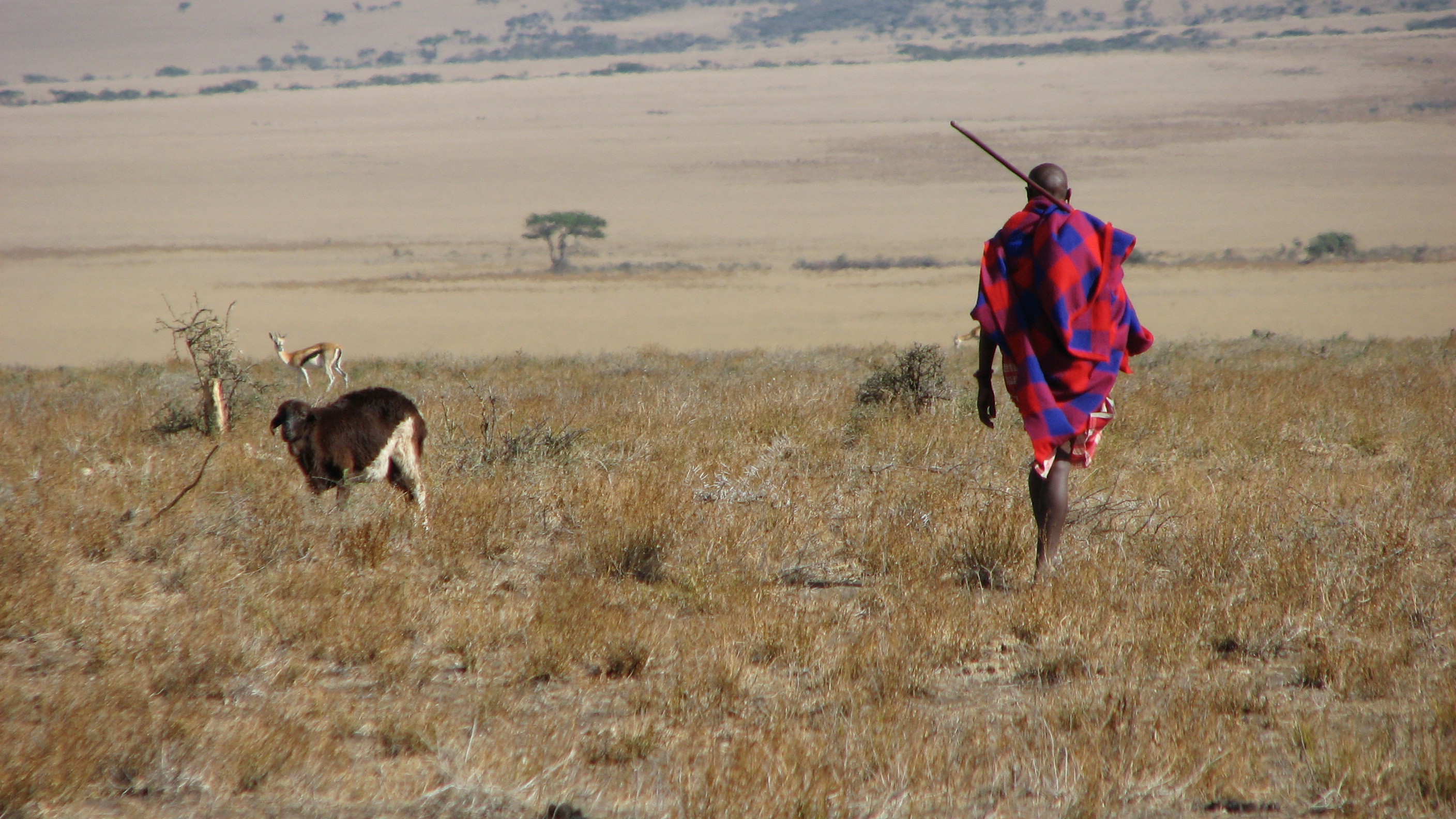 Maasai Man, Eastern Serengeti, October 2006