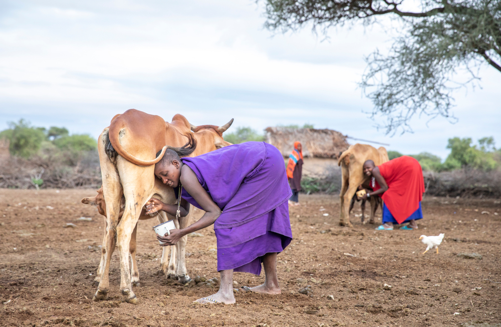 Maasai people