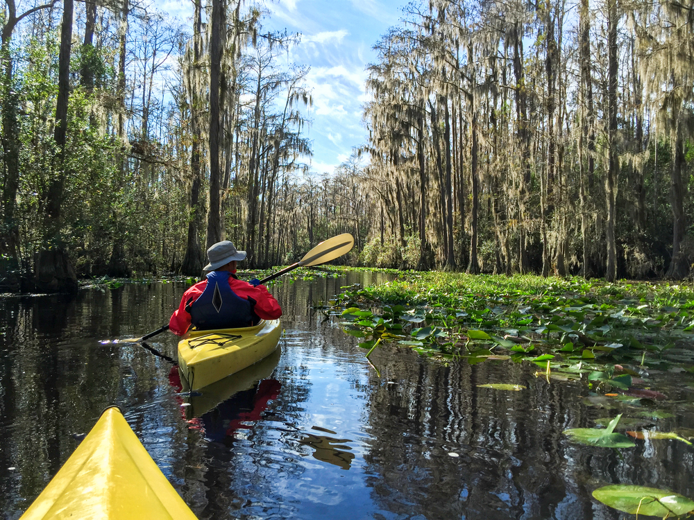 Okefenokee swamp in Georgia