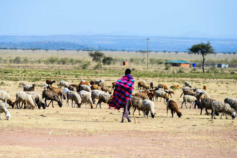Maasai people in traditional clothes