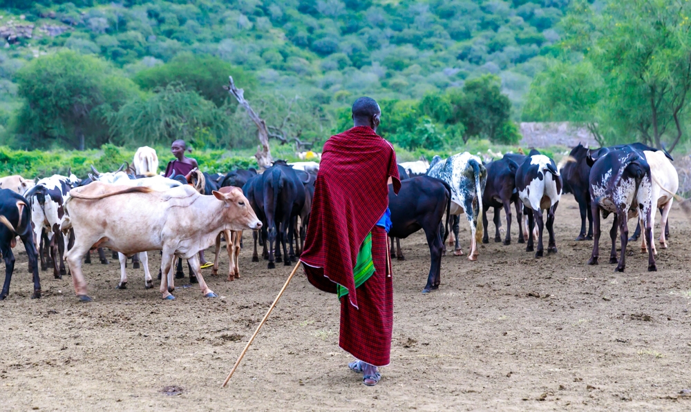 Maasai people