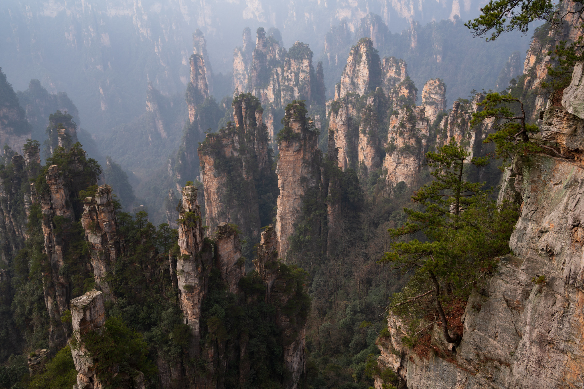 Tianzi Mountains, China