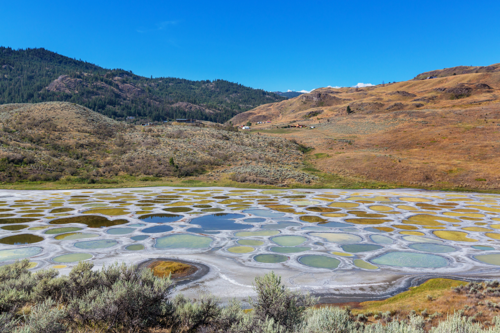 Spotted Lake in British Columbia