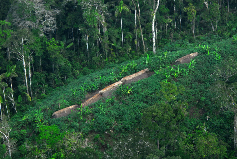 Uncontacted indigenous tribe Amazon