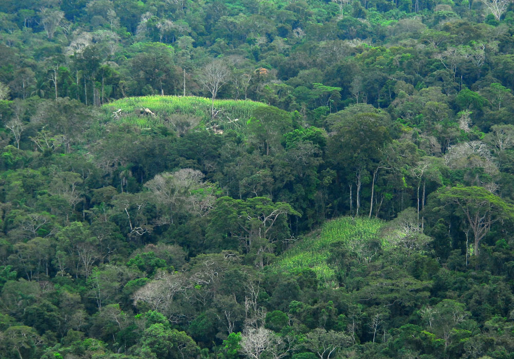 Uncontacted indigenous tribe Amazon
