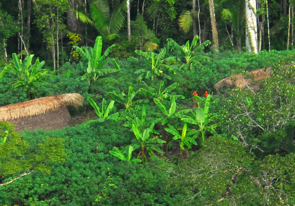 Uncontacted indigenous tribe Amazon