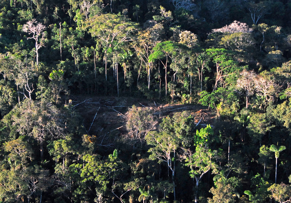 Uncontacted indigenous tribe in Amazon