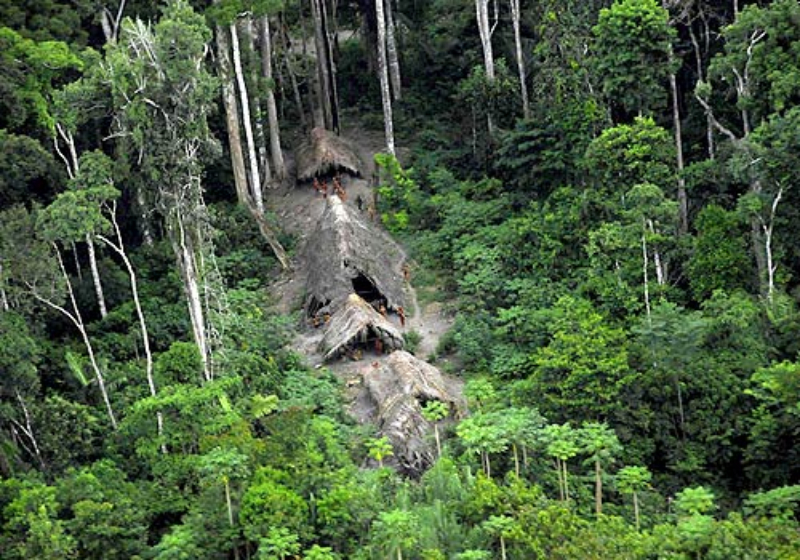 uncontacted tribe