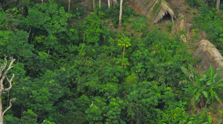 Uncontacted indigenous tribe village