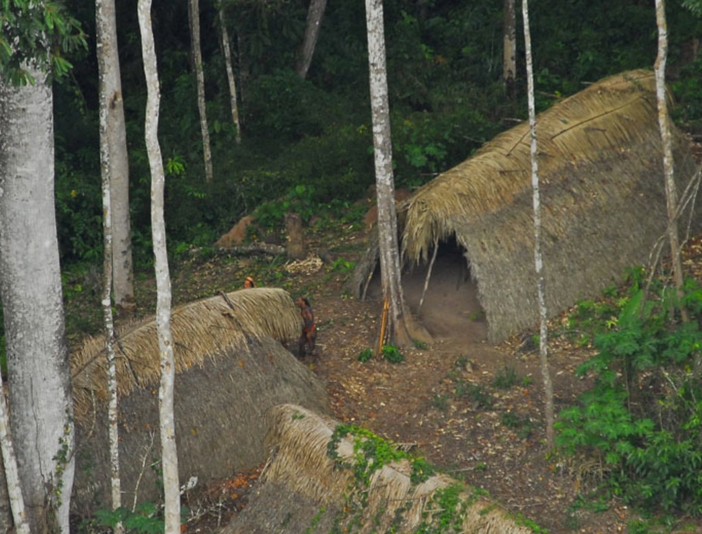 Uncontacted peoples tribe