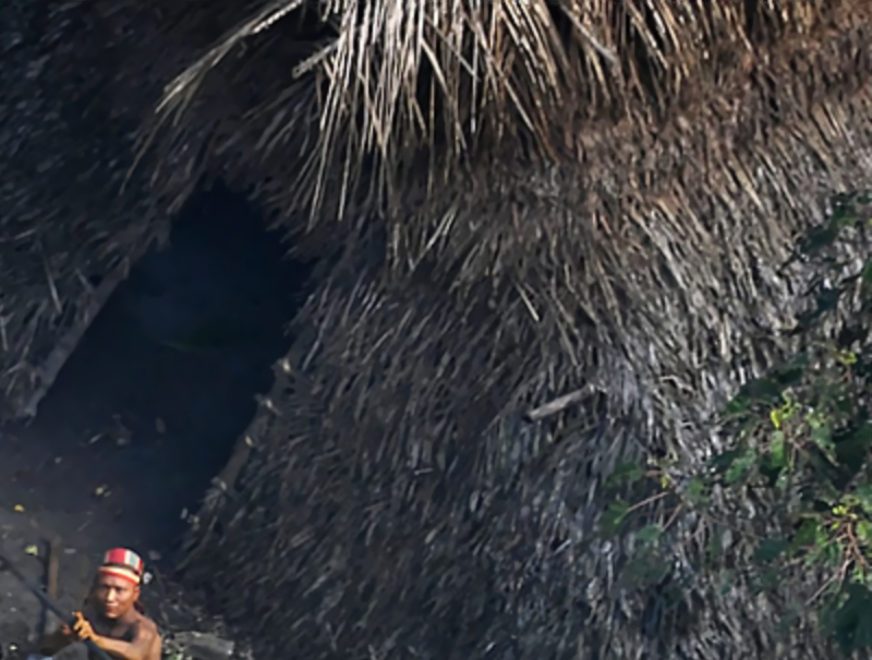 uncontacted tribe Amazon