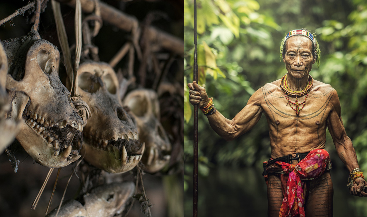 Mentawai Split Gallery