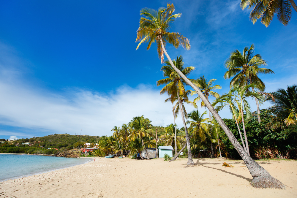 Idyllic tropical Carlisle bay beach with white sand at Antigua island