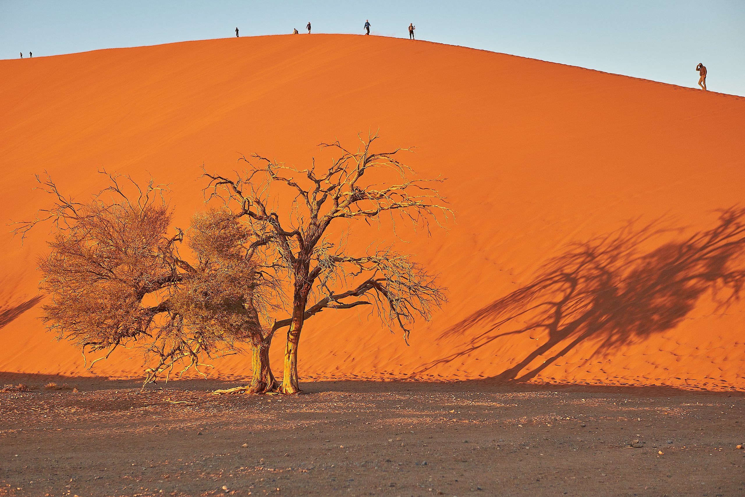 Sossusvlei, Namibia