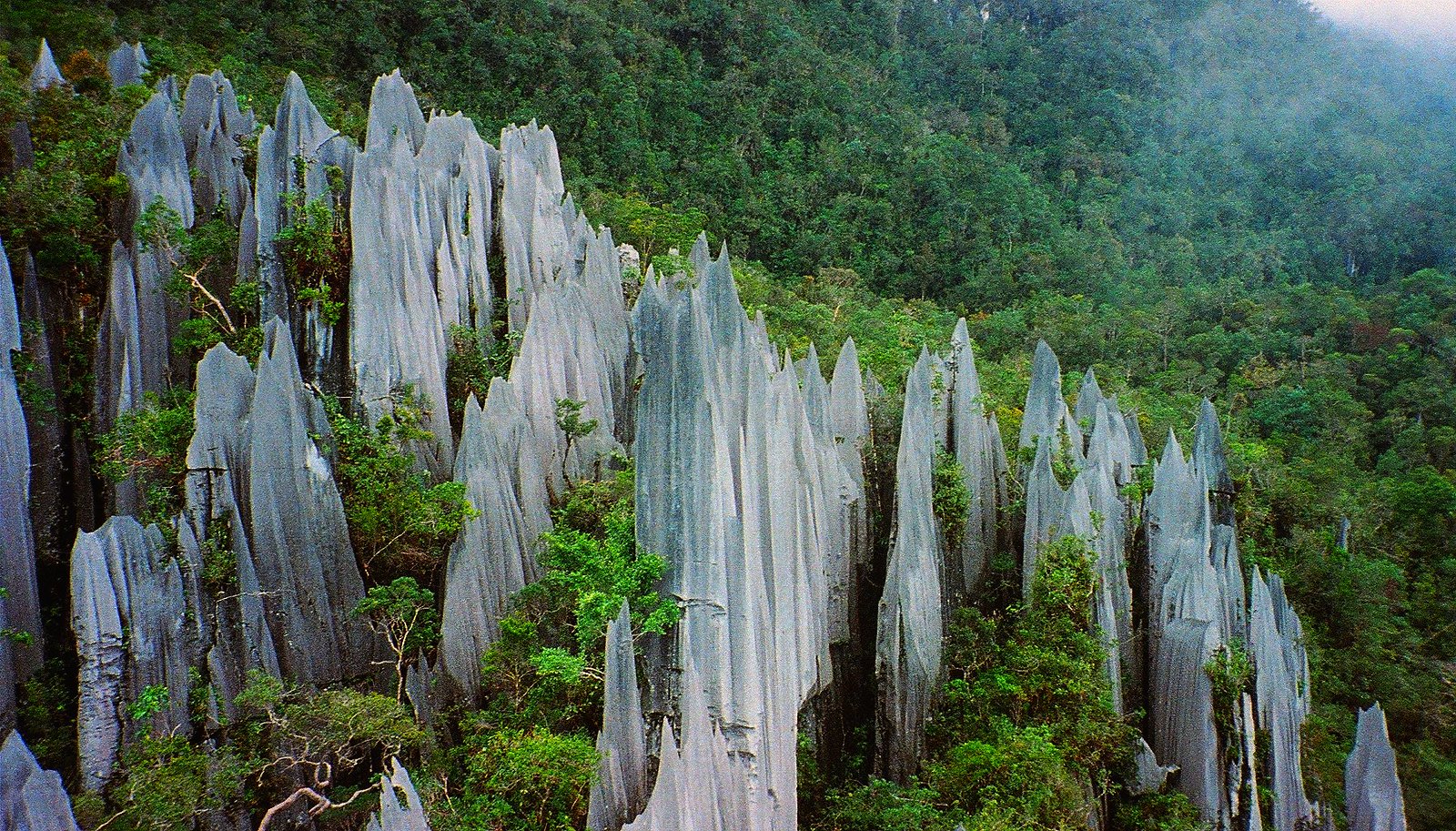 Gunung Mulu National Park, Malaysia