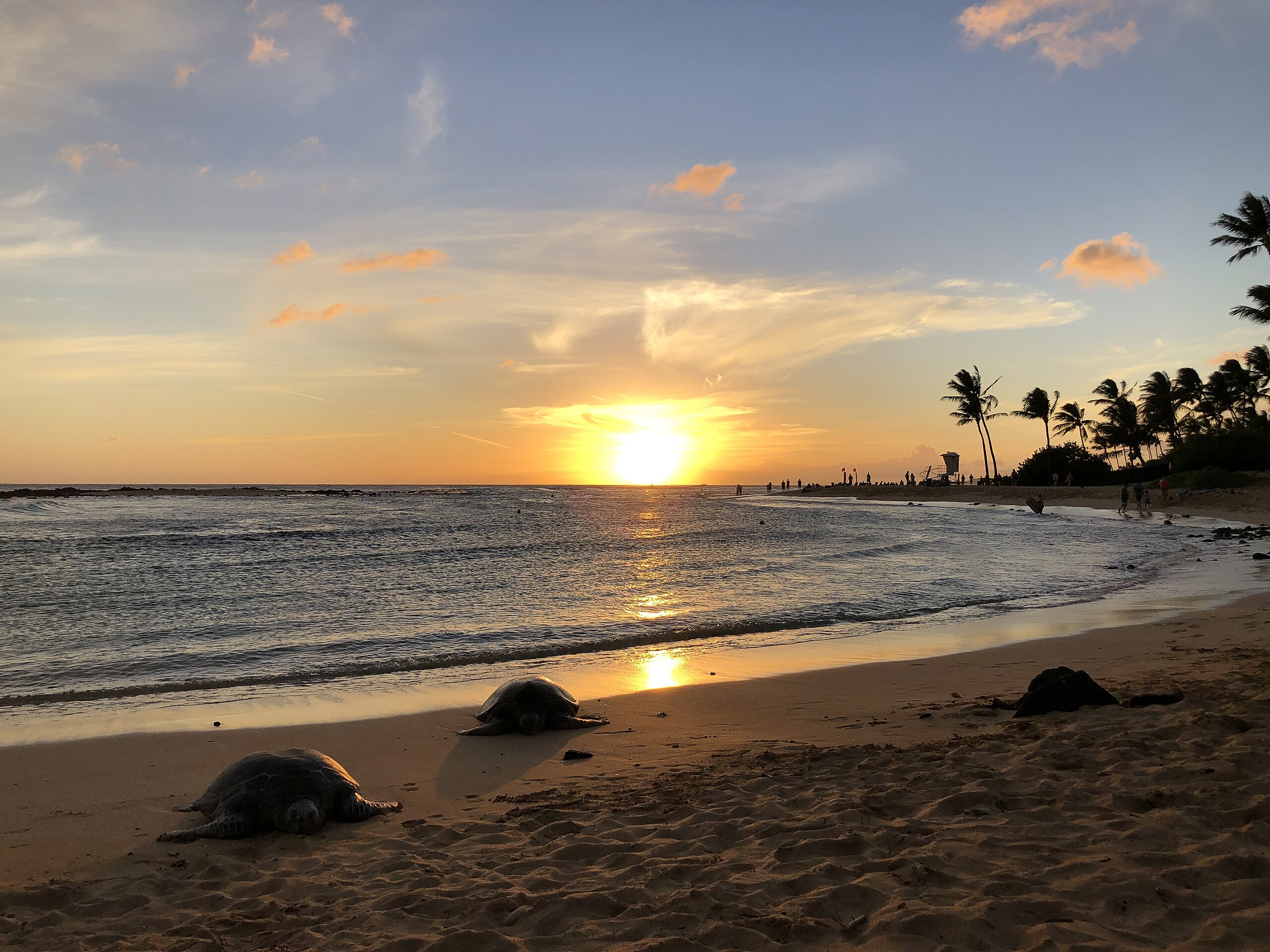 Poipu Beach Park in Poipu, Kauai, Hawaii