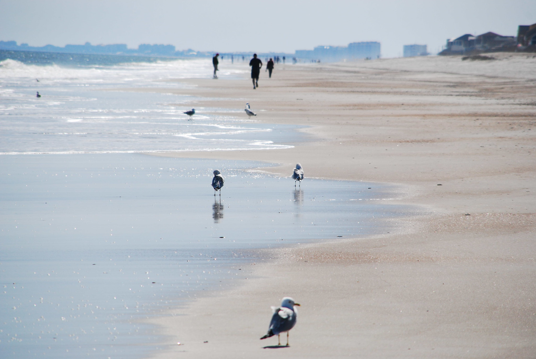 Amelia Island In Florida