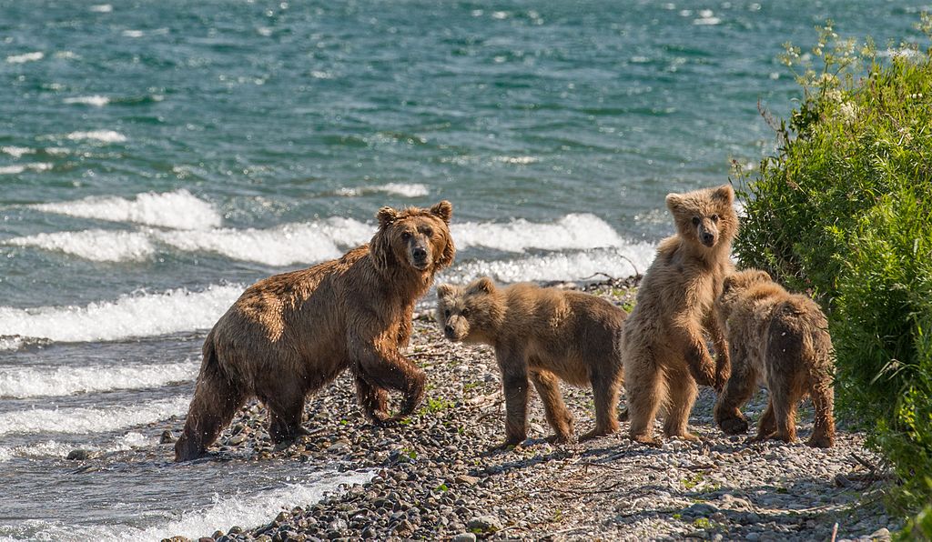 Kamchatka Krai, Russia