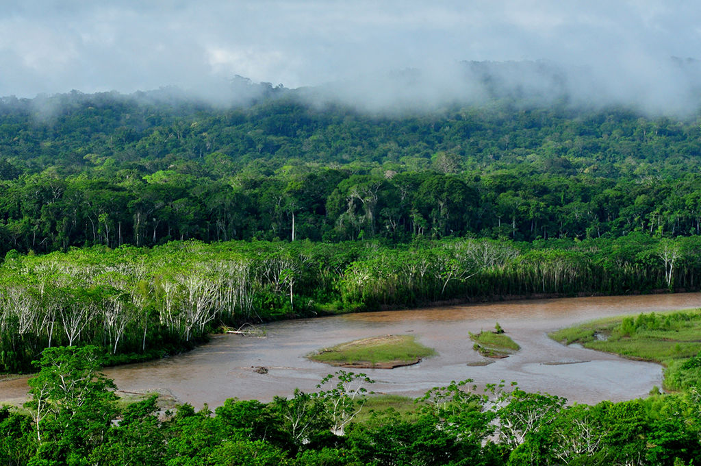 Madidi Nationalpark Amazonas Bolivien