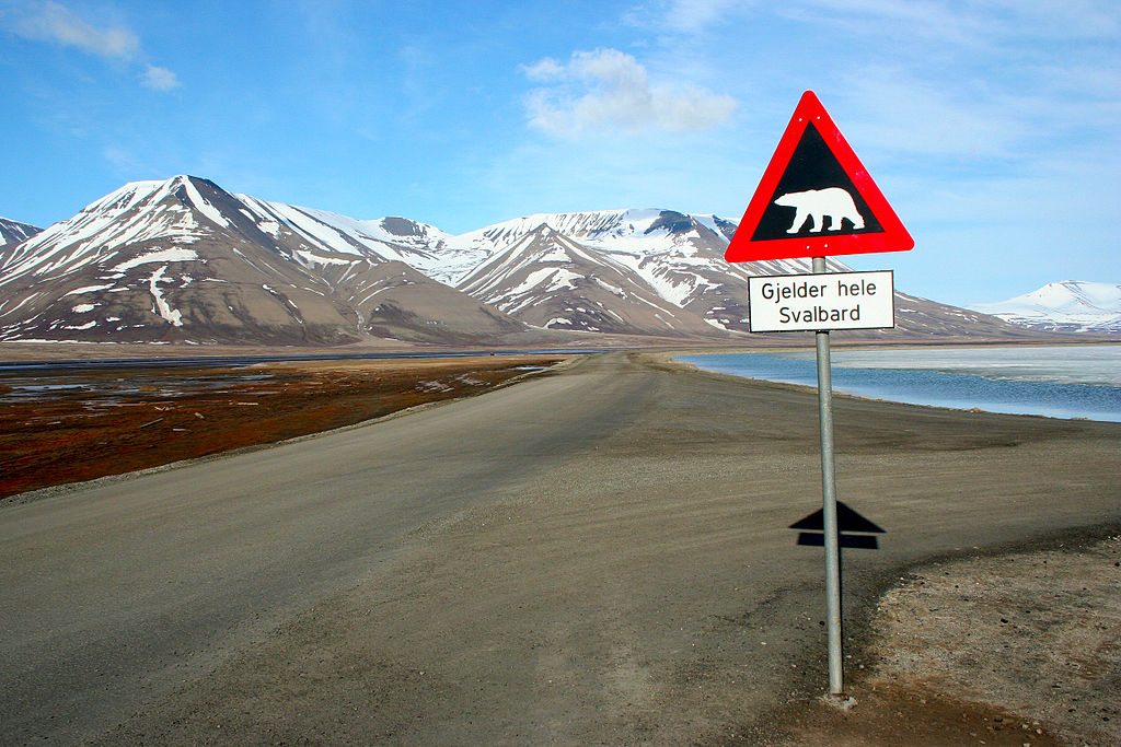 A road sign indicating the chance of polar bear appearance in Svalbard.
