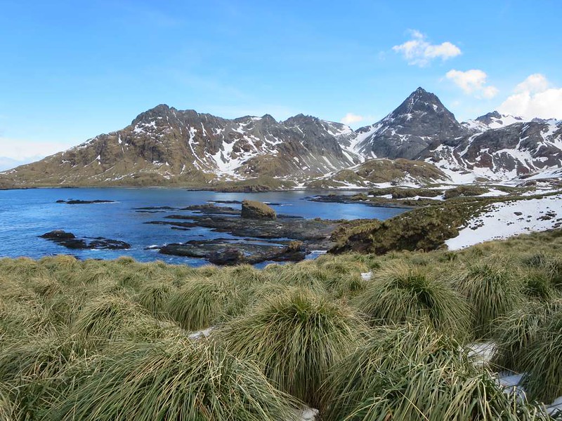 Landscape Photo of the Cooper Bay on South Georgia Island.