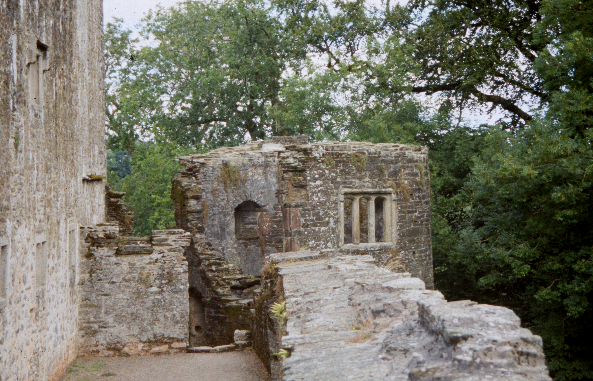 Berry Pomeroy Castle