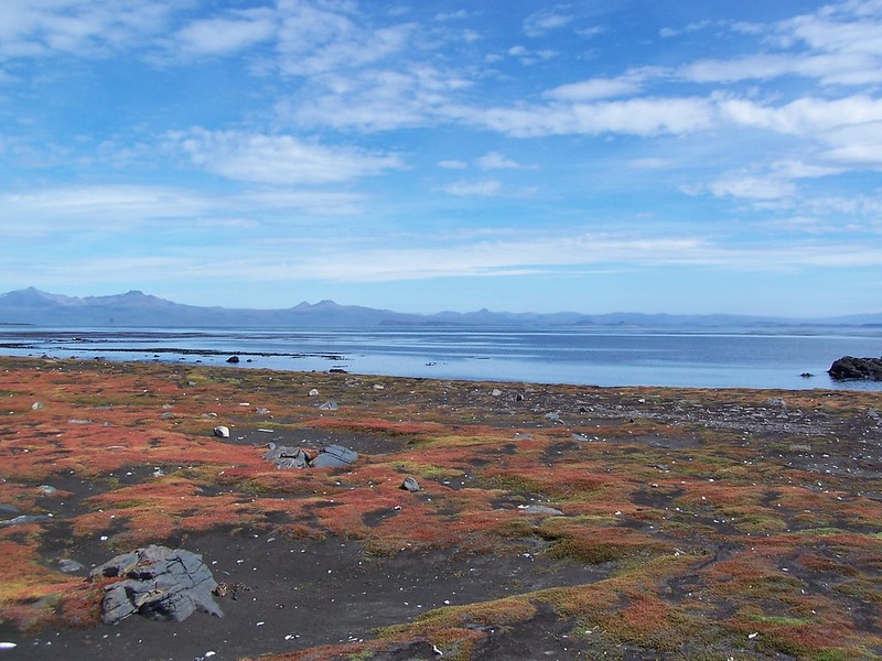 Landscape Photo of the Kerguelen Islands Land.