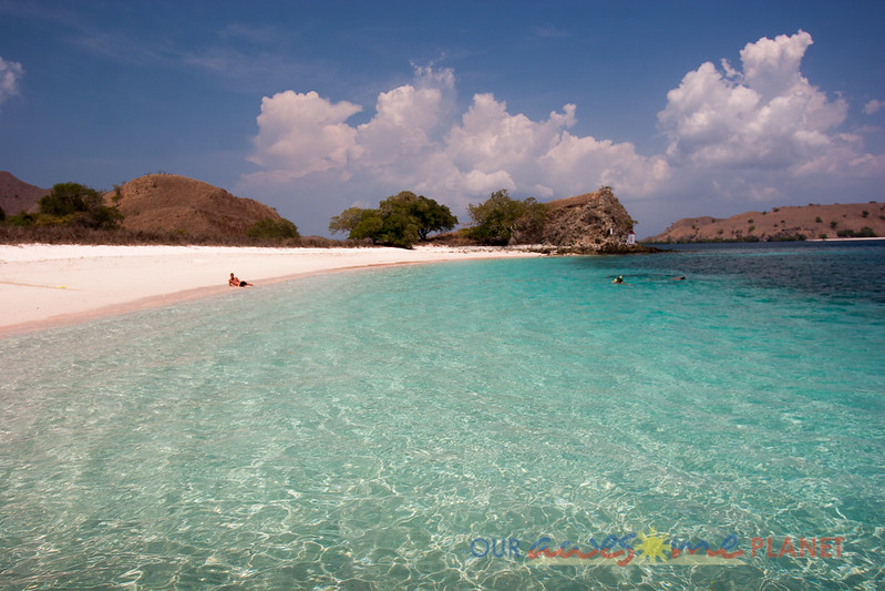 Pink Beach komodo Dragon National Park