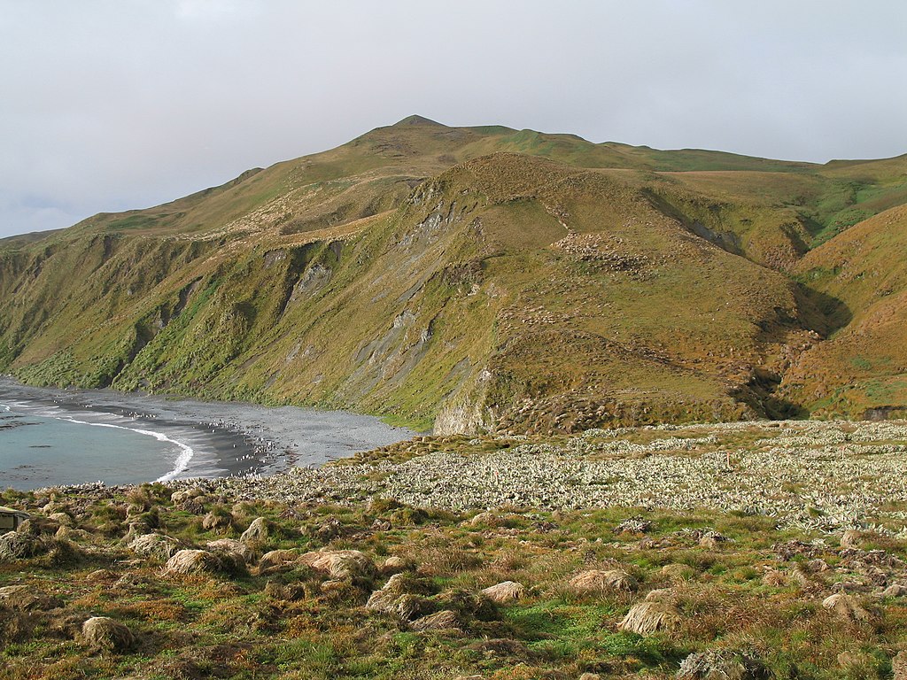 Landscape View over Macquarie Island bluffs