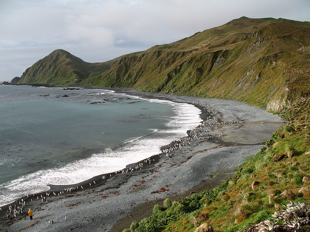 View over Macquarie Island beach with Royal and King Penguins.