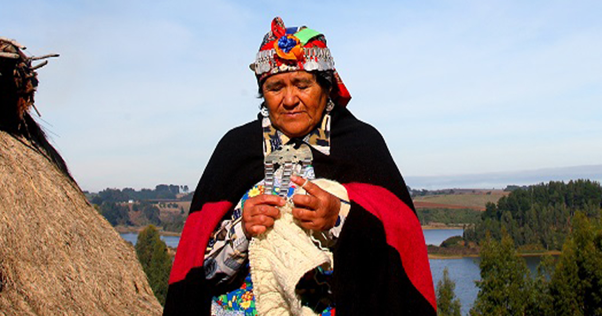 The Mapuche