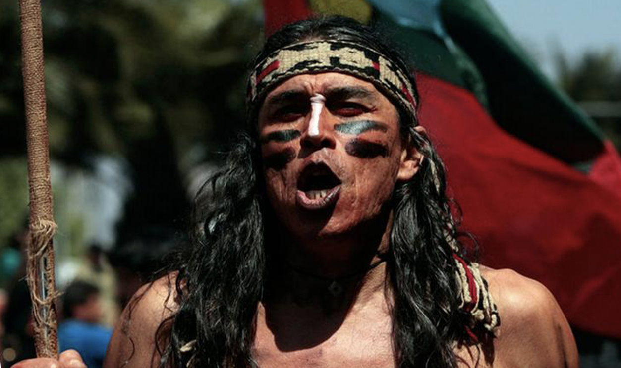 the mapuche
