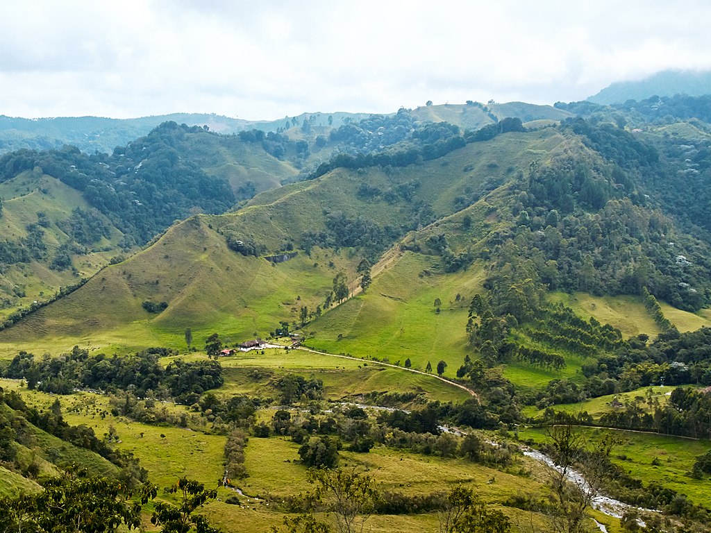 Landscape Photo of Colombia Near Salento.