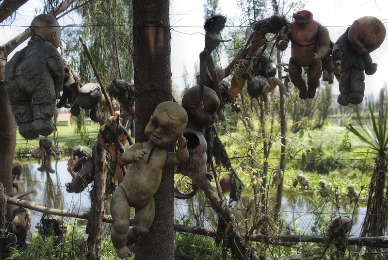 Photo of Creepy old dolls in the abandoned Island of the Dolls, Xochimilco, Mexico