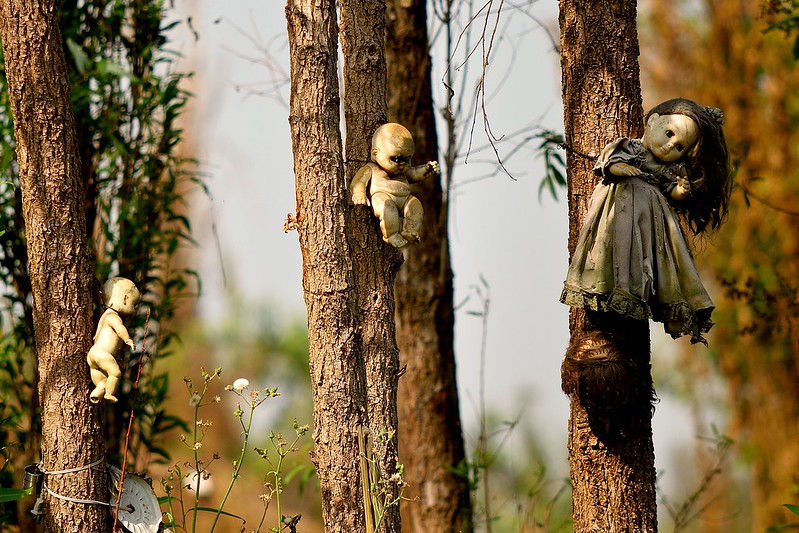 Photo of Creepy old dolls in the abandoned Island of the Dolls, Xochimilco, Mexico