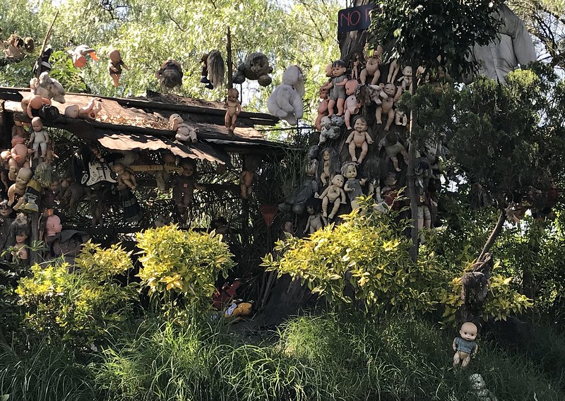 Photo of Creepy old dolls in the abandoned Island of the Dolls, Xochimilco, Mexico