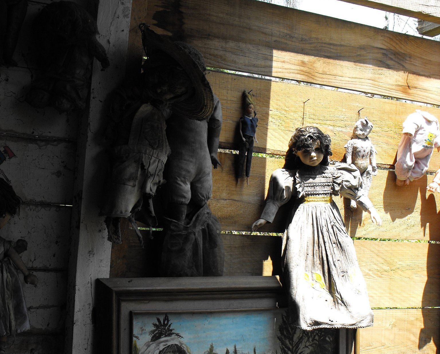 Photo of Creepy old dolls in the abandoned Island of the Dolls, Xochimilco, Mexico
