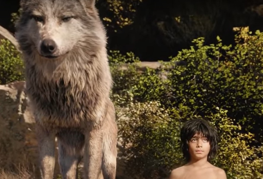 Screenshot from the movie The Jungle Book (2016)
