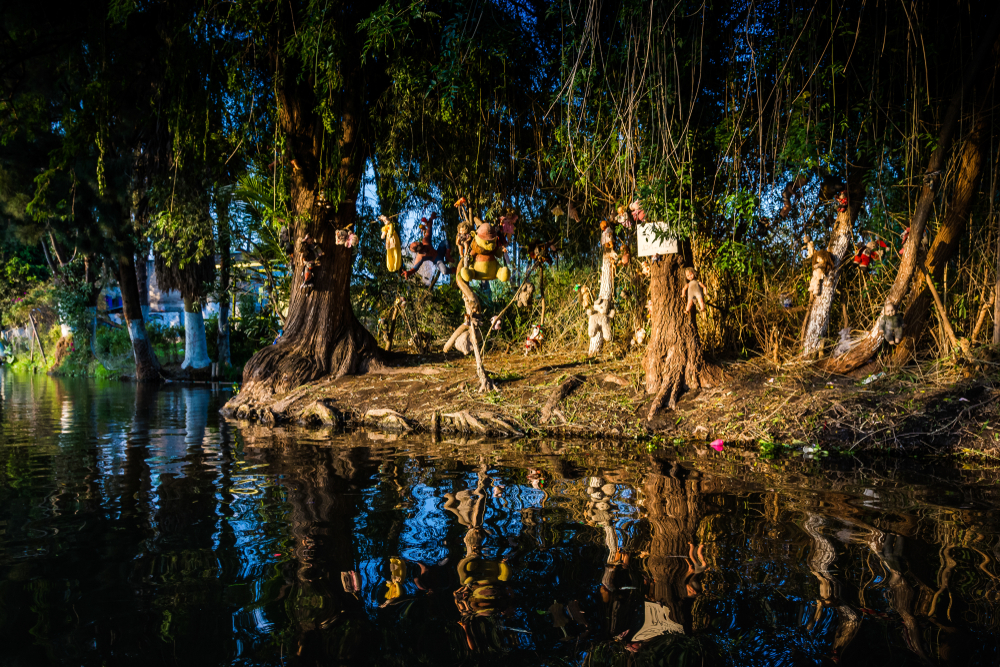 Photo of Creepy old dolls in the abandoned Island of the Dolls, Xochimilco, Mexico