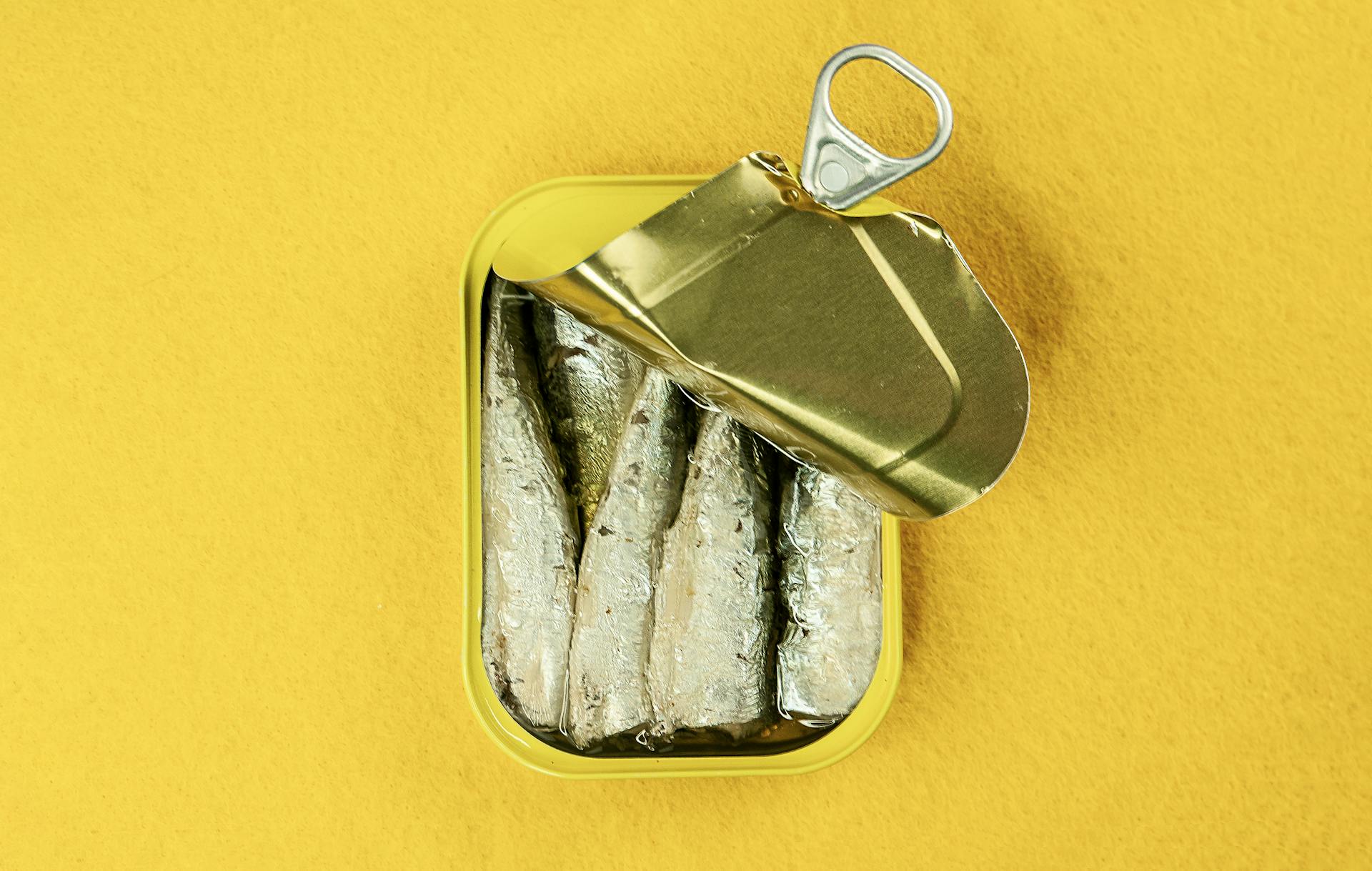 sardines