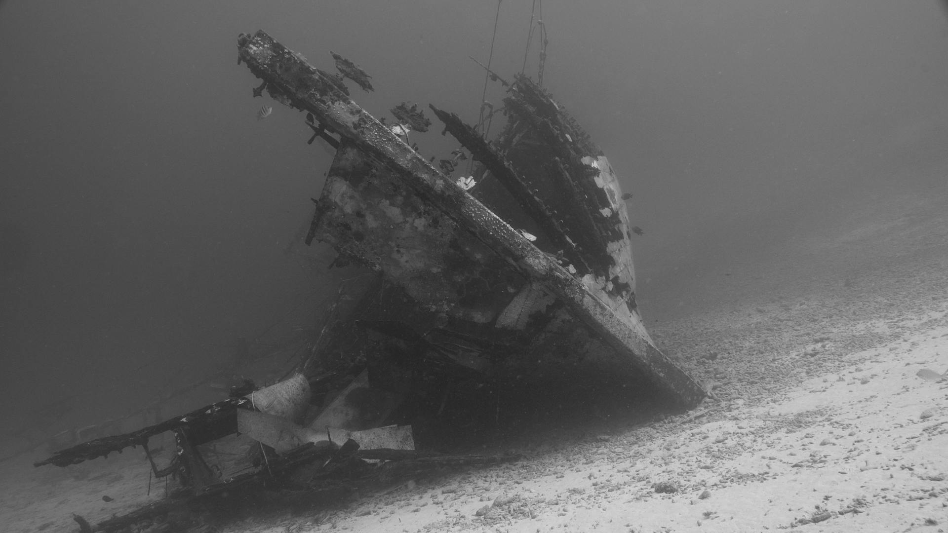Shipwreck
